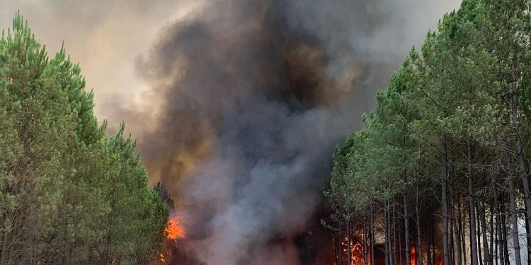 Incendio forestal en Francia rebasa el tamaño de París
