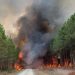 Incendio forestal en Francia rebasa el tamaño de París