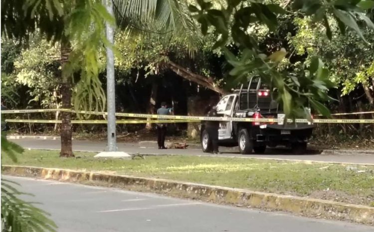 La realidad superó la ficción, Yensunni Martínez entregó el municipio al crimen y la corrupción #Chetumal tierra sin ley