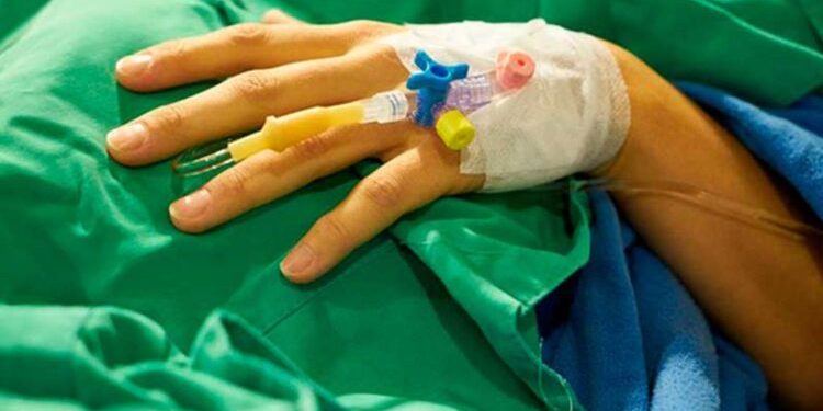 Confirman caso de rabia en humanos en Zacatecas; la joven se encuentra en estado grave