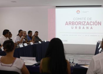Proyecta Ana Paty peralta plan de arborización en Cancún