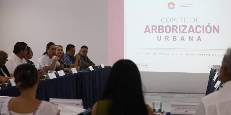 Proyecta Ana Paty peralta plan de arborización en Cancún