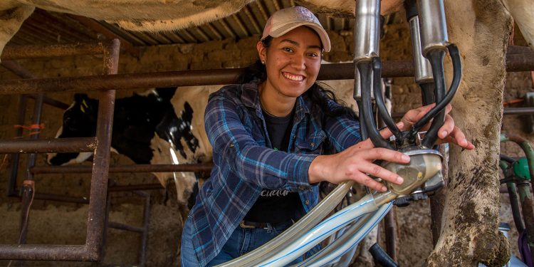 Campeche, pieza clave en la estrategia nacional de autosuficiencia alimentaria