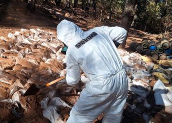 Más de 600 kilos de drogas asegurados en operativos en Sinaloa