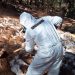 Más de 600 kilos de drogas asegurados en operativos en Sinaloa