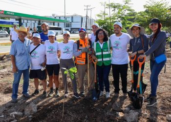 Crea Ana Paty peralta un Cancún más verde con programa de arborización urbana
