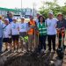 Crea Ana Paty peralta un Cancún más verde con programa de arborización urbana