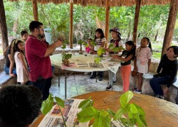 Infancias del sur de Mérida participan en curso de verano ambiental en el Parque Yumtsil