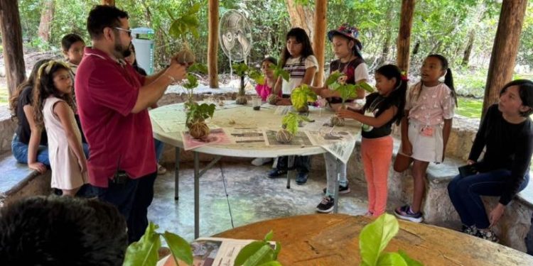 Infancias del sur de Mérida participan en curso de verano ambiental en el Parque Yumtsil