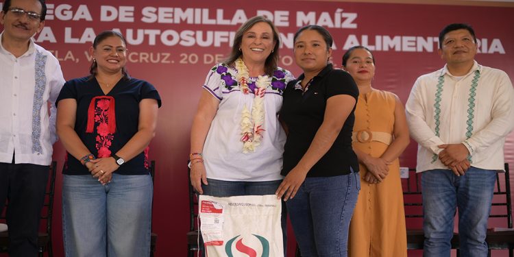 Rocío Nahle impulsa a Veracruz como granero de México; entrega semilla mejorada