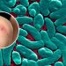 Alertan por bacteria “come carne” tras ocho muertes en EE.UU.
