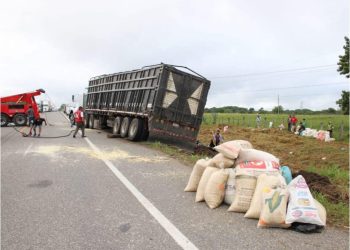 Rapiña de maíz tras volcadura de tráiler en la Villahermosa-Escárcega