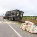 Rapiña de maíz tras volcadura de tráiler en la Villahermosa-Escárcega
