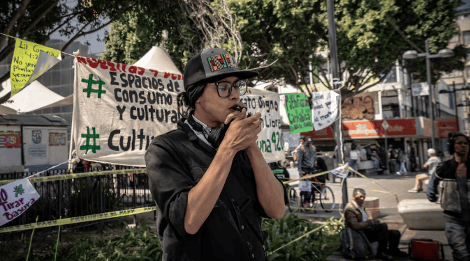 CDMX reubica espacios para consumo tolerado de cannabis en medio de incertidumbre legal
