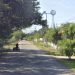 Semarnat avala modernización de camino entre Campeche y Yucatán