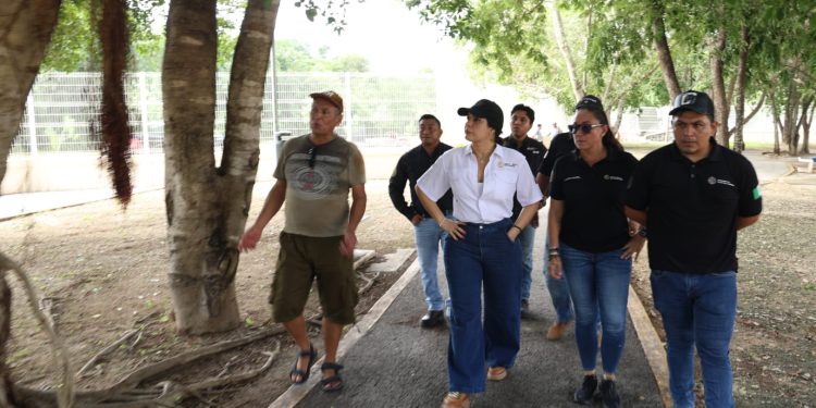 Estefanía Mercado recorre colonias y resuelve problemas de inmediato