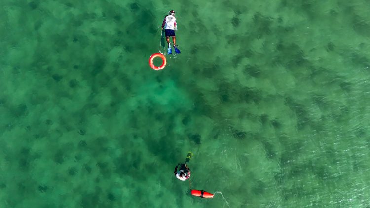 Recolectan más de 2.5 toneladas de residuos en playas y fondo marino de Playa del Carmen
