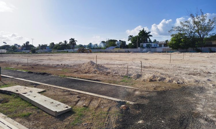 CODEQ la caja chica de dos pillos, Eric Arcila y su fiel asistente Jacobo Adrián Arzate