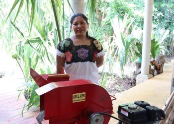 Más árboles para Yucatán gracias a reforestación sustentable en Xocén
