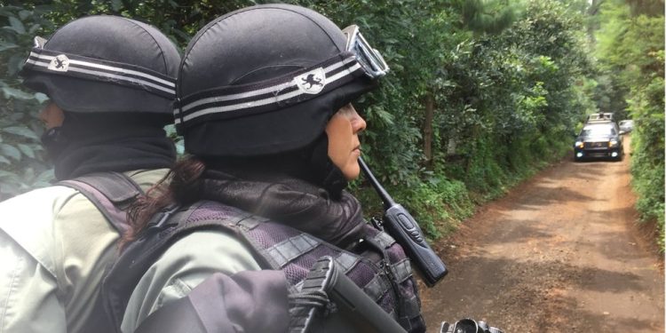 Cae mujer acusada de secuestrar y asesinar a productor de aguacate en Michoacán