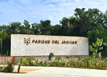 Confirman tres accesos gratuitos al Parque del Jaguar en Tulum: Playa Mangle, Acceso Central y Entrada Norte