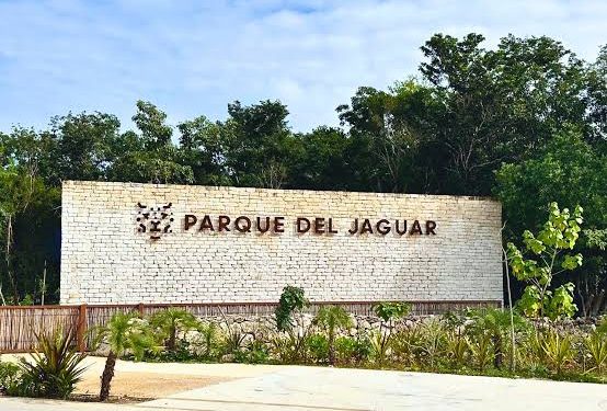 Confirman tres accesos gratuitos al Parque del Jaguar en Tulum: Playa Mangle, Acceso Central y Entrada Norte