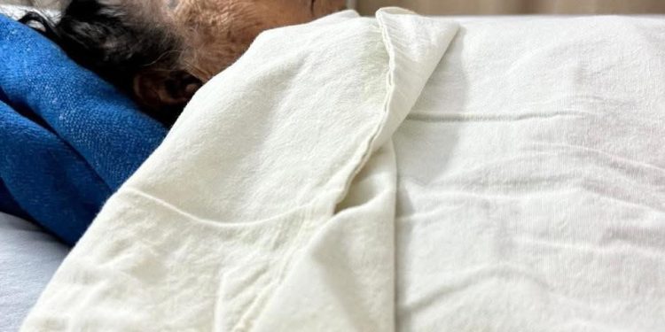 Atenea Gómez Ricalde señalada por abusos y despojo contra adultos mayores en Isla Mujeres