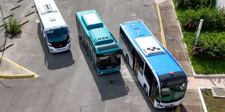 Riesgo de socavones amenaza transporte urbano en Chetumal