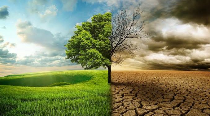 El Cambio Climático y la Biodiversidad