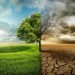 El Cambio Climático y la Biodiversidad