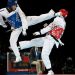 Día Internacional del Taekwondo: Disciplina y Pasión