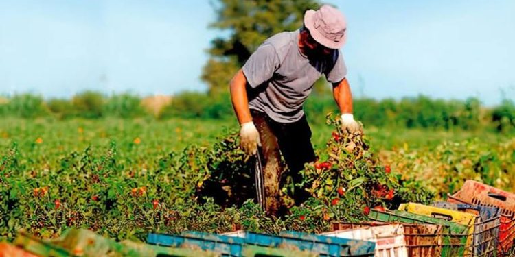 Día mundial de la agricultura