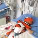 Bebé Lucha por su Vida en Hospital de Campeche