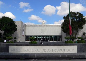 «Celebrando el Día del Psicopedagogo: Uniendo Saberes para el Éxito Educativo»