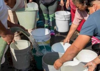 «Celebrando el Día del Psicopedagogo: Uniendo Saberes para el Éxito Educativo»