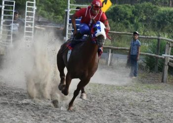 El Museo Internacional del Barroco Presenta una Exhibición Interactiva de Salvador Dalí