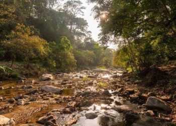 El Museo Internacional del Barroco Presenta una Exhibición Interactiva de Salvador Dalí