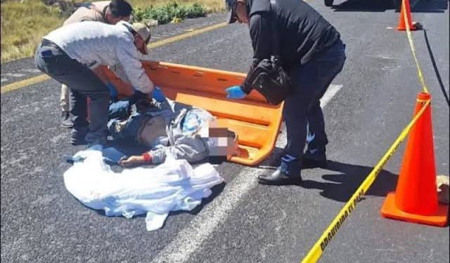 Hombre Pierde la Vida Atropellado en la Autopista Nogales-Balastrera