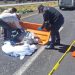Hombre Pierde la Vida Atropellado en la Autopista Nogales-Balastrera