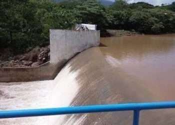 Dinastía Focal: Un Festival de Fotografía en Xalapa