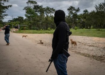 Dinastía Focal: Un Festival de Fotografía en Xalapa