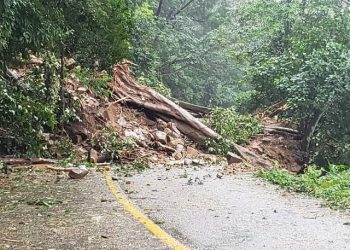 Dinastía Focal: Un Festival de Fotografía en Xalapa