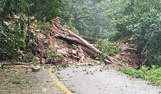 Dinastía Focal: Un Festival de Fotografía en Xalapa