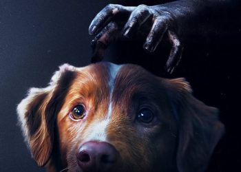 Detienen a Presunto Líder de La Barredora en Veracruz