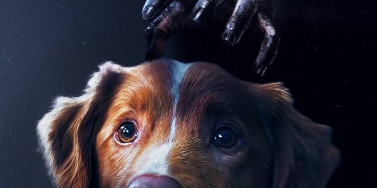 Detienen a Presunto Líder de La Barredora en Veracruz