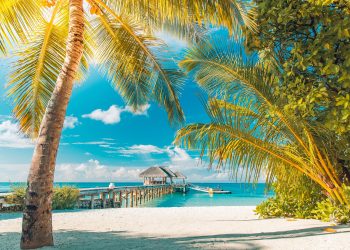 Max Verstappen Arranca Primero en el Gran Premio de Bakú