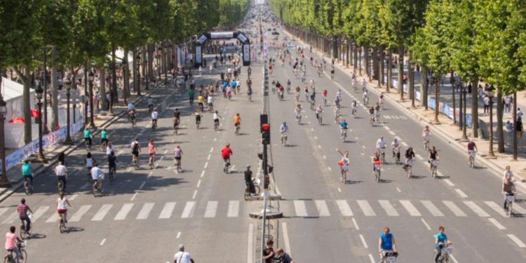 Ataque Armado en Espinal, Veracruz: Un Agente de Tránsito Muerto y Otro Herido