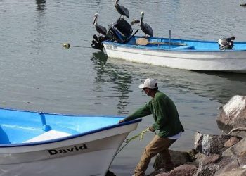 Acción Inmediata para Fugas de Amoniaco en Veracruz