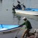 Acción Inmediata para Fugas de Amoniaco en Veracruz