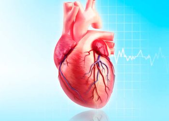 El Descubrimiento del Océano Pacífico